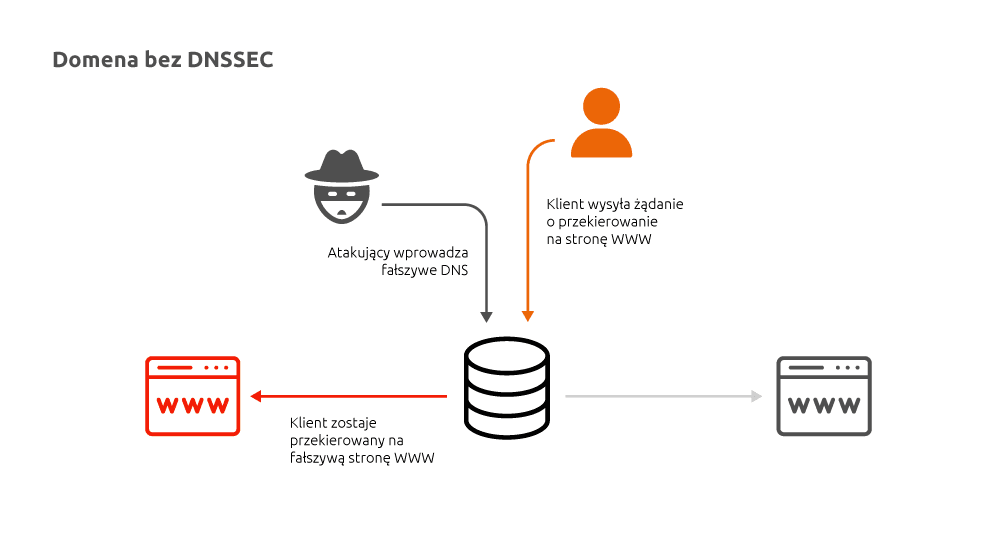 Domena bez zabezpieczenia DNSSEC | nazwa.pl