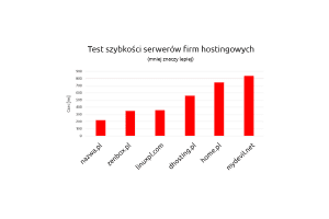 Jak sprawdzić szybkość serwera, na którym działa Twoja strona internetowa | nazwa.pl