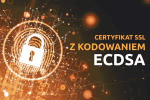 Wybierz nowoczesny Certyfikat SSL z kodowaniem ECDSA | nazwa.pl