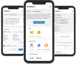 Statystyki w panelu w wersji RWD | nazwa.pl