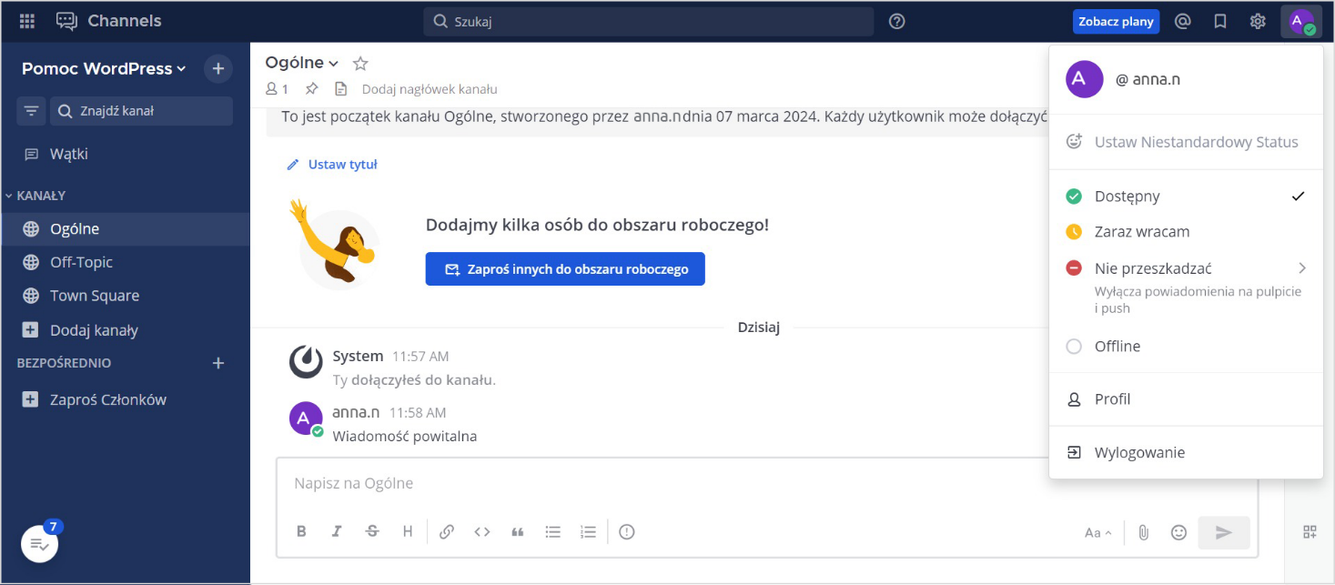 Możliwości Mattermost | nazwa.pl