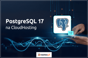 PostgreSQL 17 – korzystaj z nowoczesnej bazy danych dla wymagających | nazwa.pl