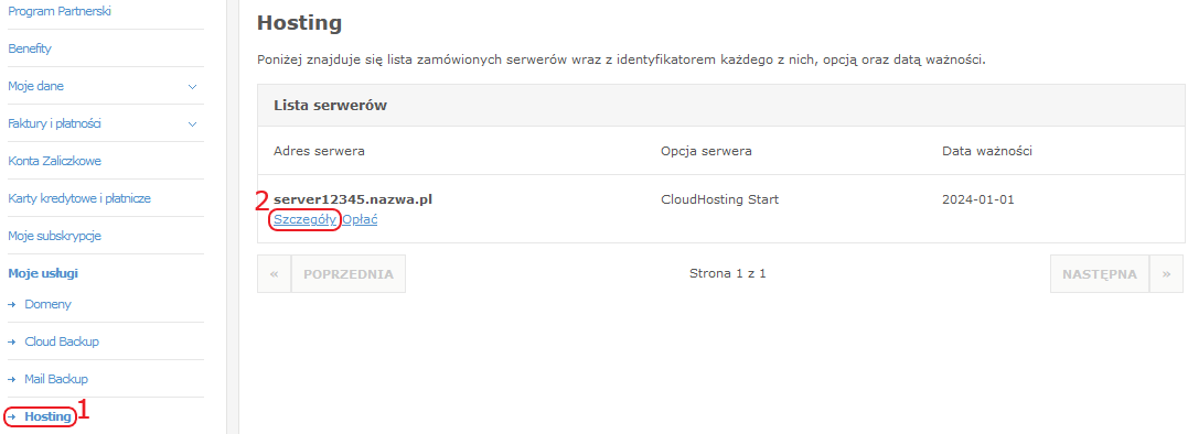 Panel Klienta Hosting szczegoly