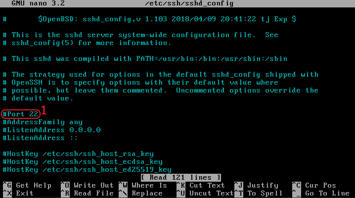 vps linux ssh port sprawdzenie