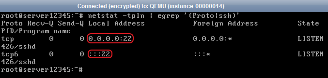 vps linux ssh port netstat