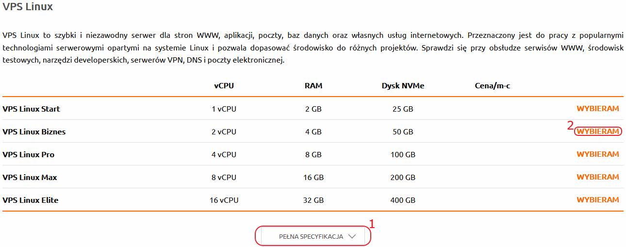 zamowienie vps rodzaje serwerow
