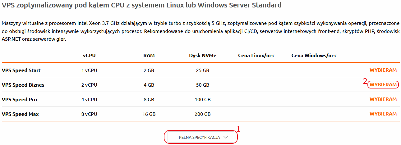 zamowienie vps rodzaje serwerow