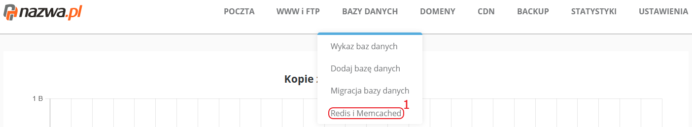 CloudHosting Panel bazy danych redis i memcached