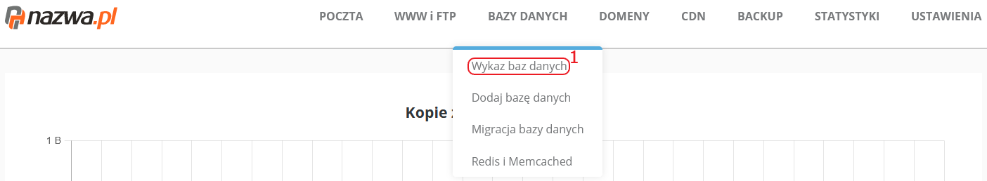 CloudHosting Panel menu bazy danych wykaz baz danych