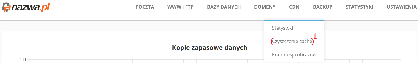 CloudHosting Panel menu cdn czyszczenie cache