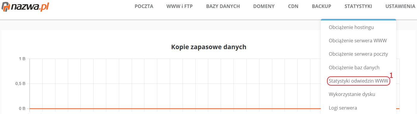 CloudHosting Panel menu statystyki odwiedzin www