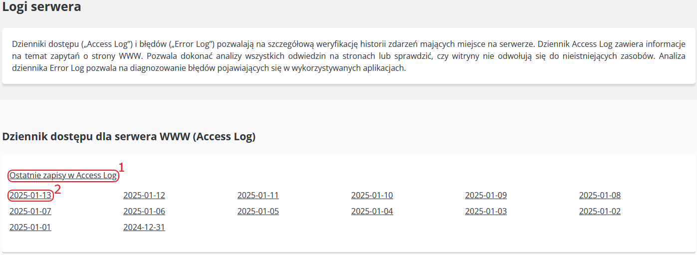 CloudHosting Panel statystyki logi access log