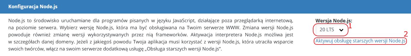 CloudHosting Panel konfiguracja node.js