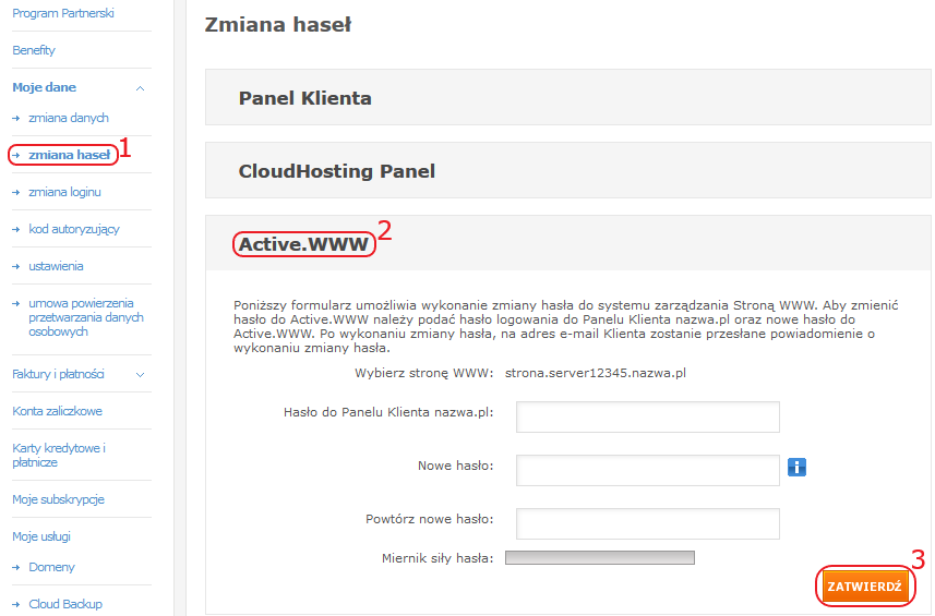 CloudHosting Panel pk zmiana hasel active.www