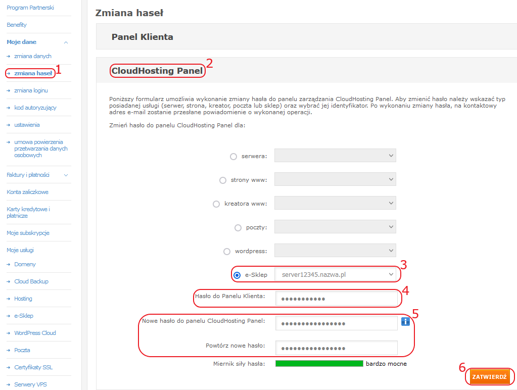 CloudHosting Panel pk zmiana hasel esklep