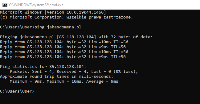 CDN nazwa.pl polecenie ping