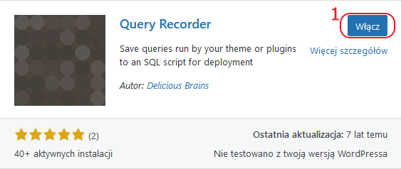 wordpress wtyczki query recorder wlacz